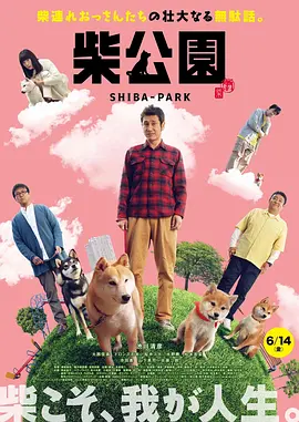 草草网站